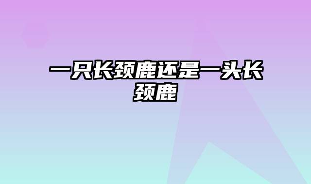 一只长颈鹿还是一头长颈鹿