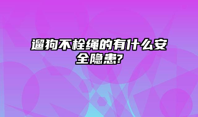 遛狗不栓绳的有什么安全隐患?