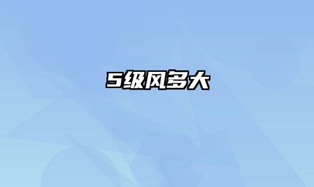 5级风多大