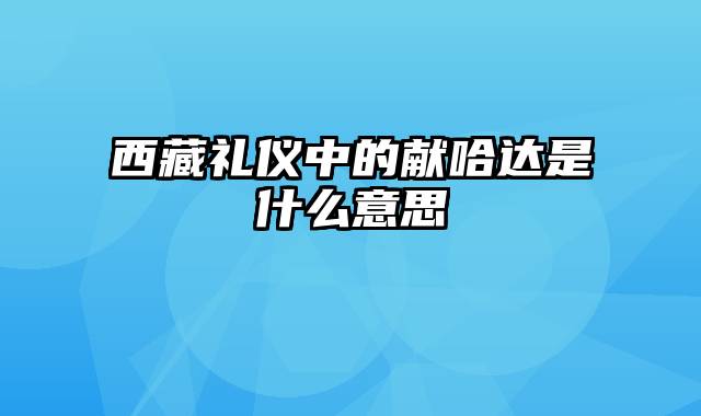 西藏礼仪中的献哈达是什么意思