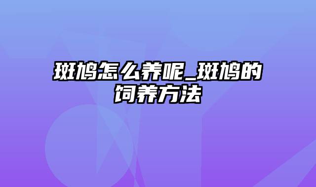 斑鸠怎么养呢_斑鸠的饲养方法