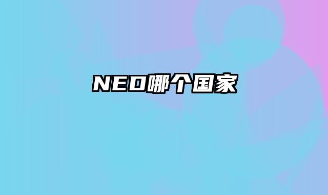 NED哪个国家