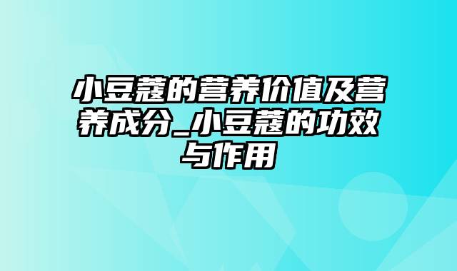 小豆蔻的营养价值及营养成分_小豆蔻的功效与作用