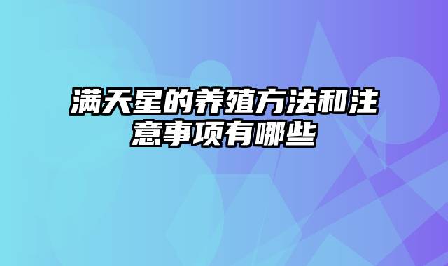 满天星的养殖方法和注意事项有哪些