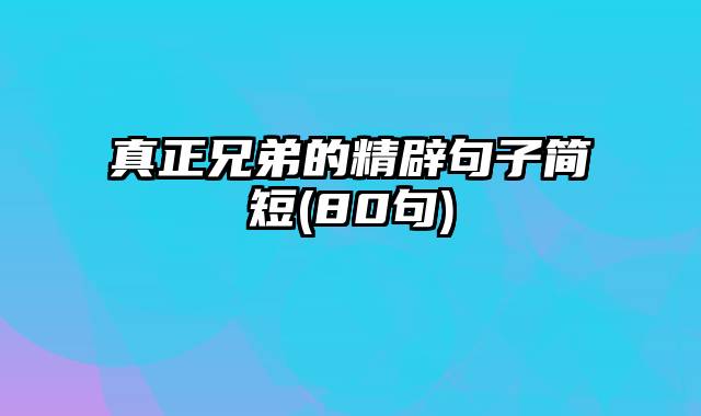 真正兄弟的精辟句子简短(80句)