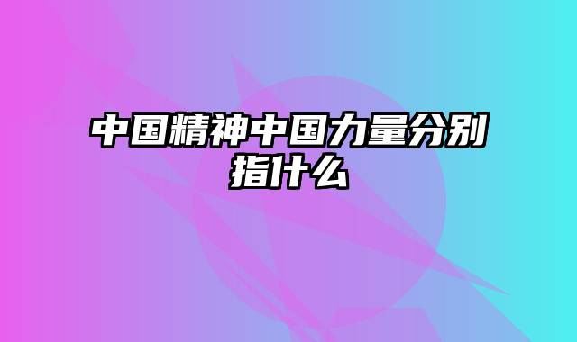 中国精神中国力量分别指什么