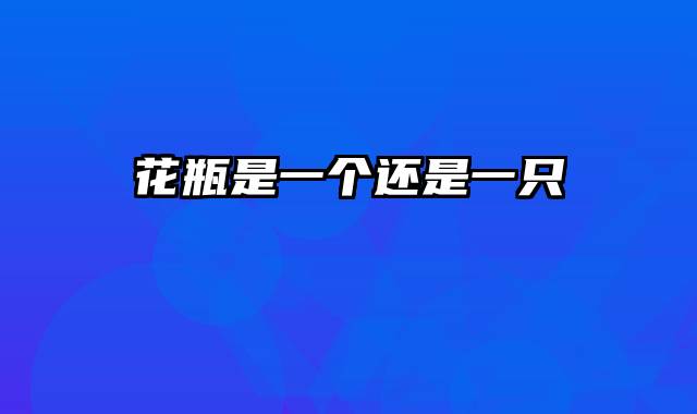 花瓶是一个还是一只