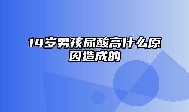 14岁男孩尿酸高什么原因造成的