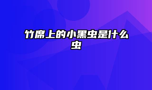竹席上的小黑虫是什么虫