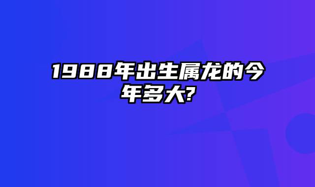 1988年出生属龙的今年多大?