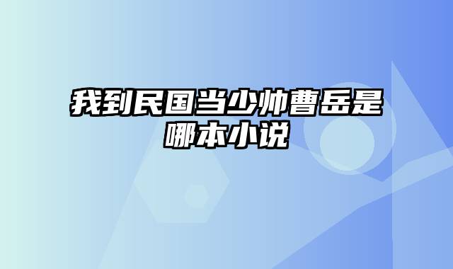 我到民国当少帅曹岳是哪本小说