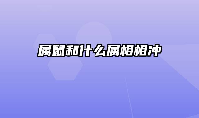 属鼠和什么属相相冲