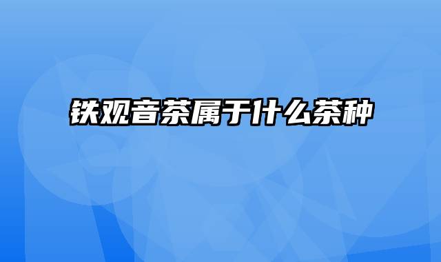 铁观音茶属于什么茶种