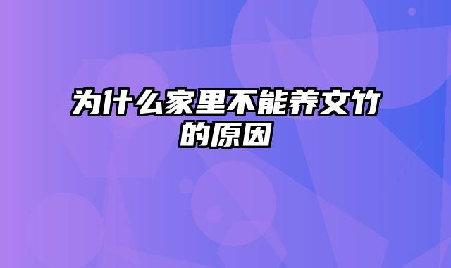 为什么家里不能养文竹的原因