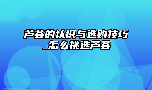 芦荟的认识与选购技巧_怎么挑选芦荟