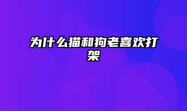 为什么猫和狗老喜欢打架