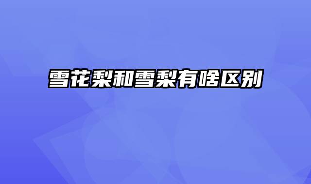 雪花梨和雪梨有啥区别