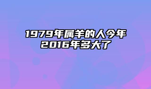 1979年属羊的人今年2016年多大了