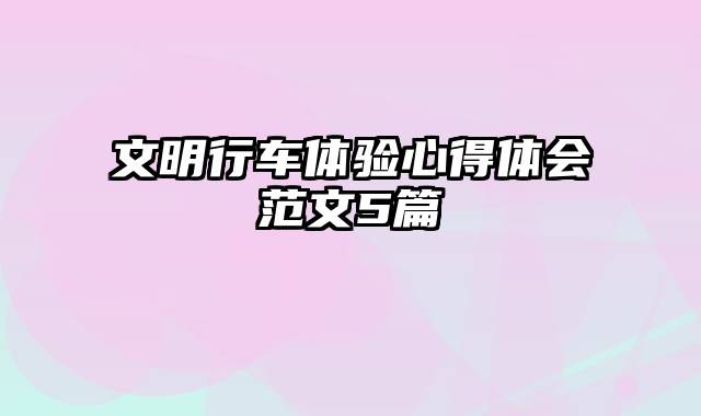 文明行车体验心得体会范文5篇