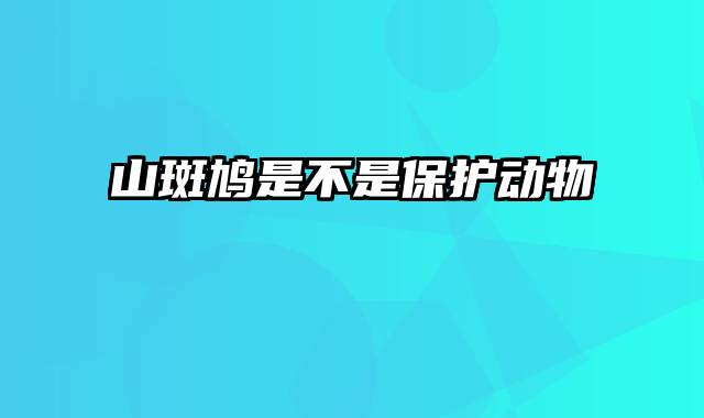 山斑鸠是不是保护动物