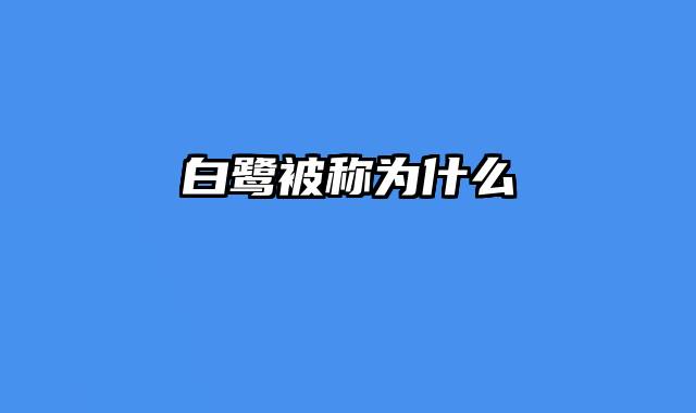 白鹭被称为什么