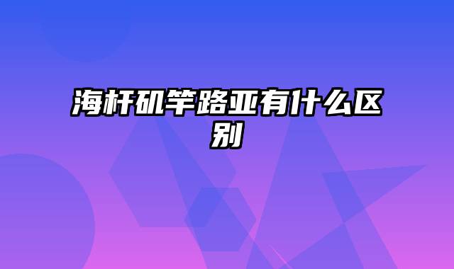 海杆矶竿路亚有什么区别