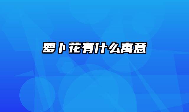 萝卜花有什么寓意