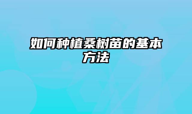 如何种植桑树苗的基本方法