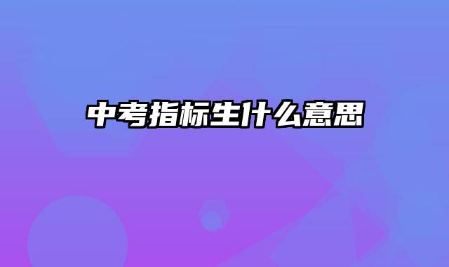 中考指标生什么意思