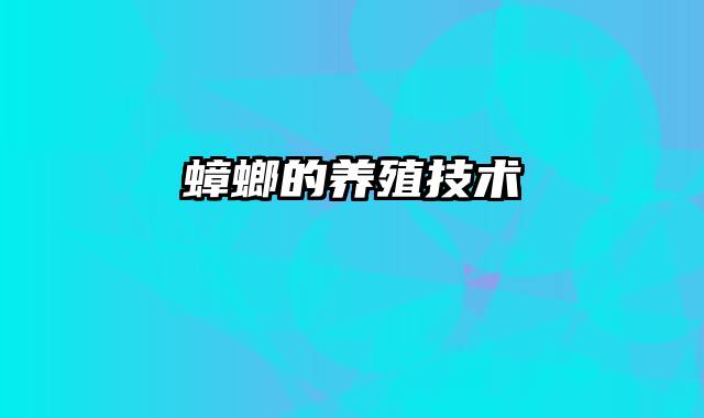 蟑螂的养殖技术
