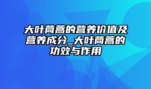 大叶茼蒿的营养价值及营养成分_大叶茼蒿的功效与作用