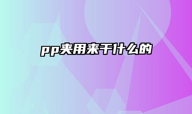 pp夹用来干什么的