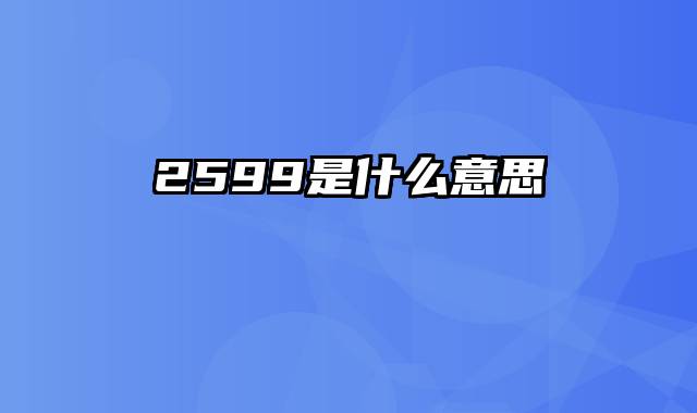 2599是什么意思