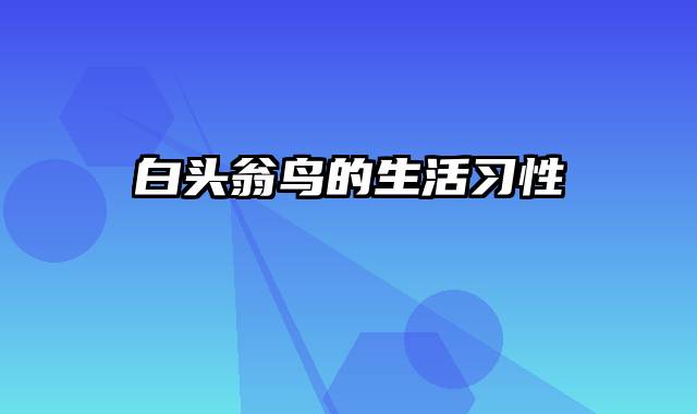 白头翁鸟的生活习性