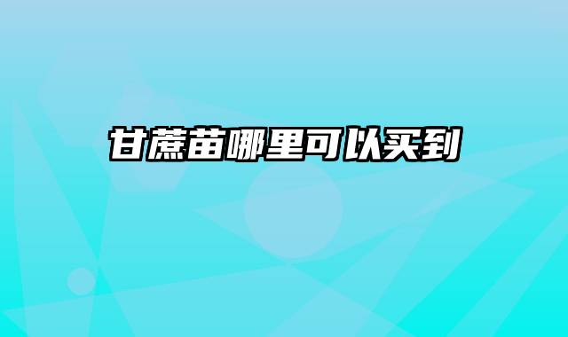 甘蔗苗哪里可以买到