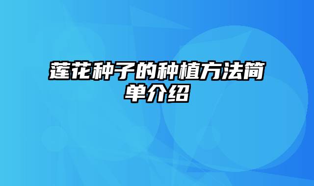 莲花种子的种植方法简单介绍