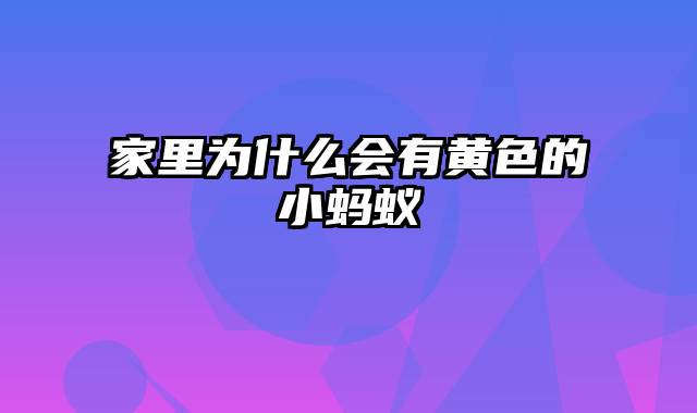 家里为什么会有黄色的小蚂蚁