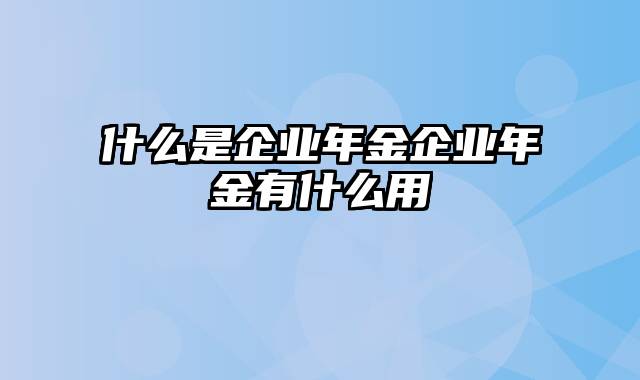 什么是企业年金企业年金有什么用