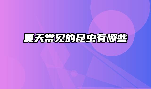 夏天常见的昆虫有哪些