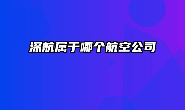 深航属于哪个航空公司