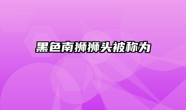 黑色南狮狮头被称为