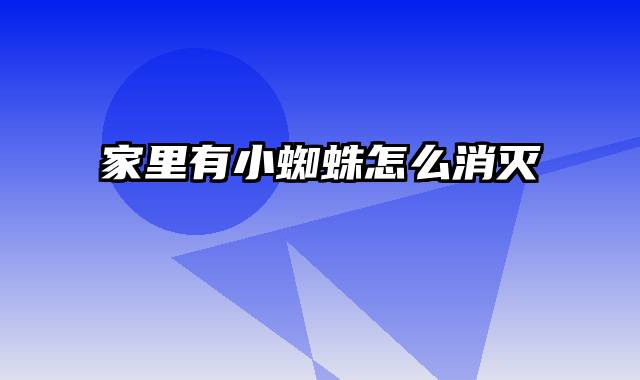 家里有小蜘蛛怎么消灭