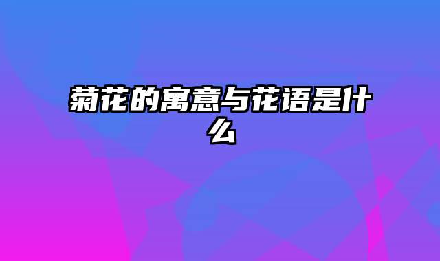 菊花的寓意与花语是什么