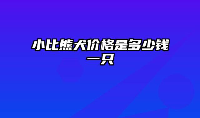 小比熊犬价格是多少钱一只