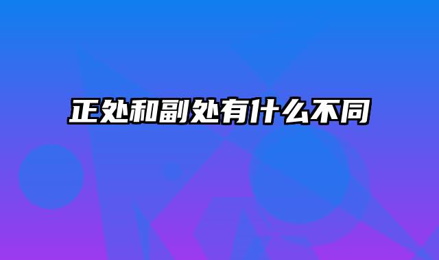 正处和副处有什么不同