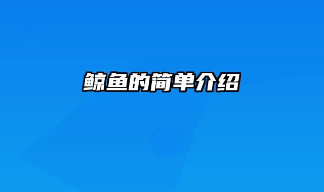 鲸鱼的简单介绍