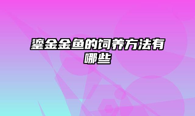 鎏金金鱼的饲养方法有哪些