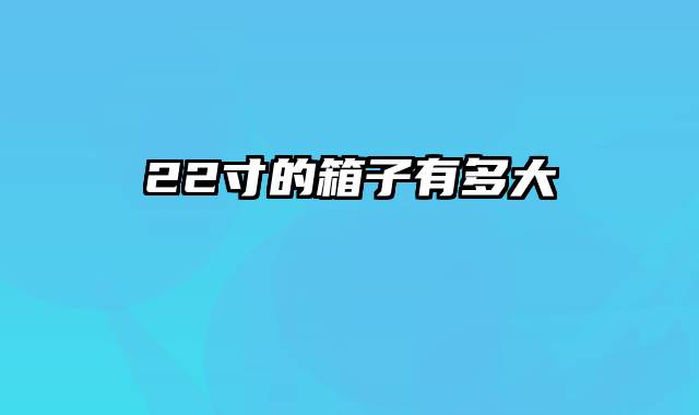 22寸的箱子有多大