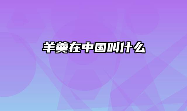 羊羹在中国叫什么