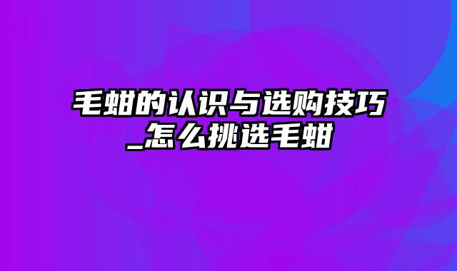 毛蚶的认识与选购技巧_怎么挑选毛蚶